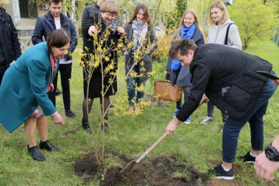 День Землі у Київському ліцеї бізнесу